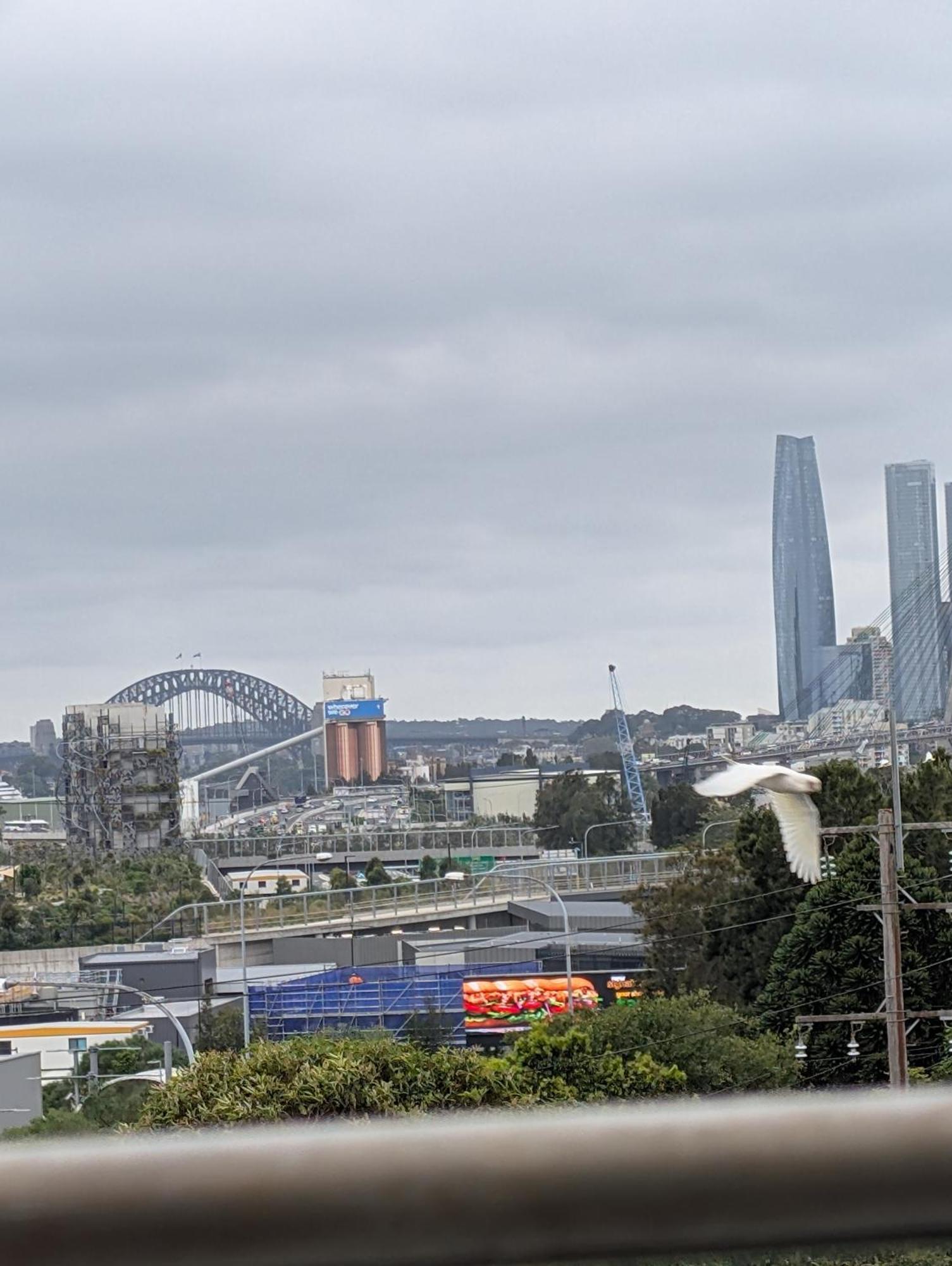 Panoramic Cbd Views Penthouse *